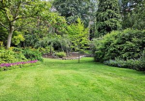 Optimiser l'expérience du jardin à Montfey
